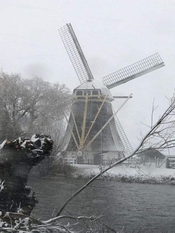 Mondriaanmolen, A Real Windmill Close To Amsterdam Abcoude Ngoại thất bức ảnh